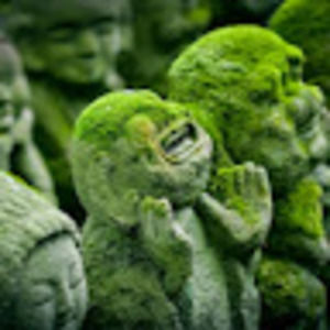 Meet your Posher, Scott allen